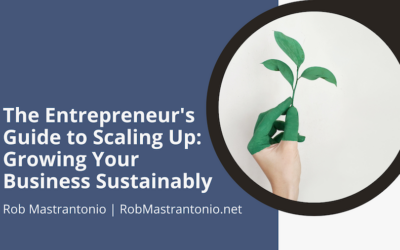 The Entrepreneur’s Guide to Scaling Up: Growing Your Business Sustainably
