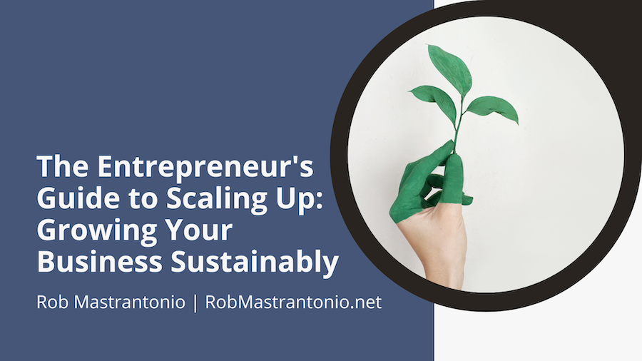 Rob Mastrantonio The Entrepreneur's Guide to Scaling Up: Growing Your Business Sustainably